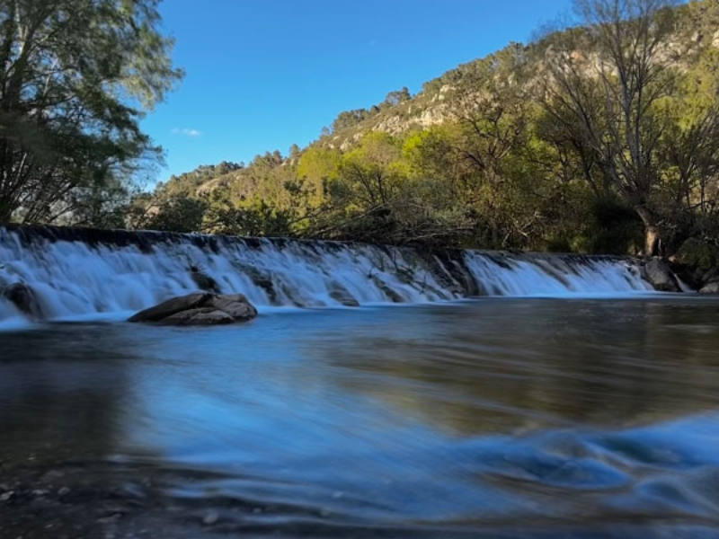 design sans titre (1)