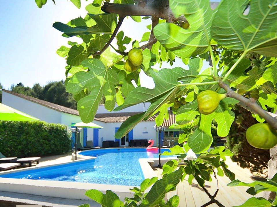 163944398 108885237958270 5186726164723010867 n