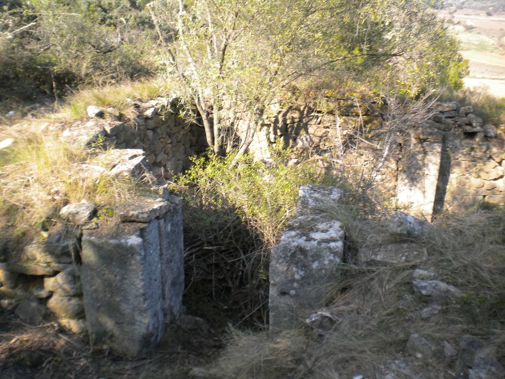 2013 02 21 defrichage chapelle 1