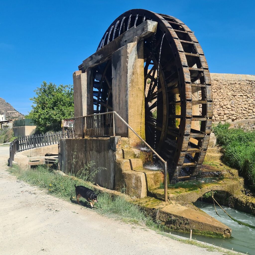 ruta de las norias noria